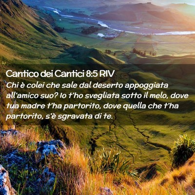 Picture 02 - Cantico dei Cantici 8:5 RIV - Chi è colei che sale dal deserto appoggiata - Bible Verse Picture