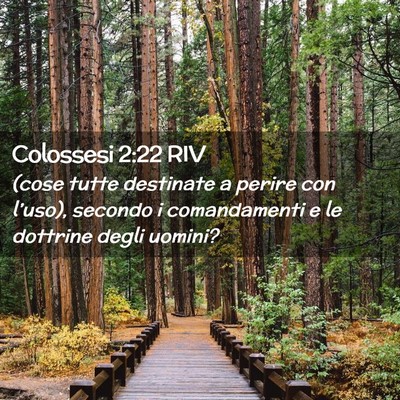 Picture 02 - Colossesi 2:22 RIV - (cose tutte destinate a perire con l’uso), - Bible Verse Picture