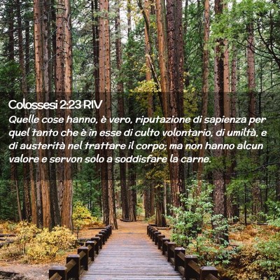 Picture 02 - Colossesi 2:23 RIV - Quelle cose hanno, è vero, riputazione di - Bible Verse Picture
