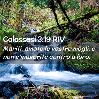 Picture 02 - Colossesi 3:19 RIV - Mariti, amate le vostre mogli, e non - Bible Verse Picture