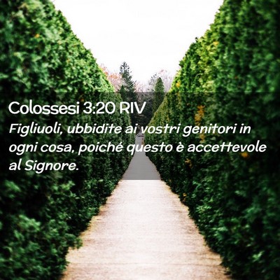 Picture 02 - Colossesi 3:20 RIV - Figliuoli, ubbidite ai vostri genitori in ogni - Bible Verse Picture