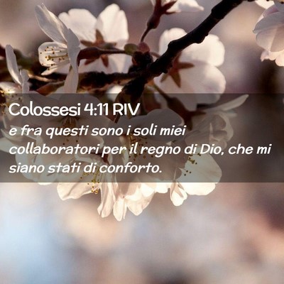 Picture 02 - Colossesi 4:11 RIV - e fra questi sono i soli miei collaboratori per - Bible Verse Picture