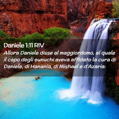 Picture 02 - Daniele 1:11 RIV - Allora Daniele disse al maggiordomo, al quale il - Bible Verse Picture