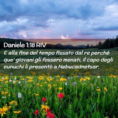 Picture 02 - Daniele 1:18 RIV - E alla fine del tempo fissato dal re perché - Bible Verse Picture
