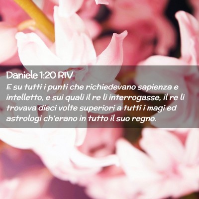 Picture 02 - Daniele 1:20 RIV - E su tutti i punti che richiedevano sapienza e - Bible Verse Picture
