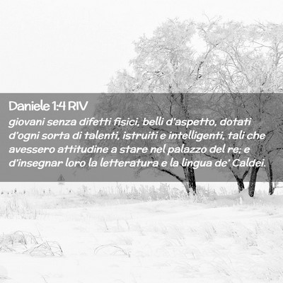 Picture 02 - Daniele 1:4 RIV - giovani senza difetti fisici, belli d’aspetto, - Bible Verse Picture