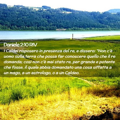 Picture 02 - Daniele 2:10 RIV - I Caldei risposero in presenza del re, e dissero: - Bible Verse Picture