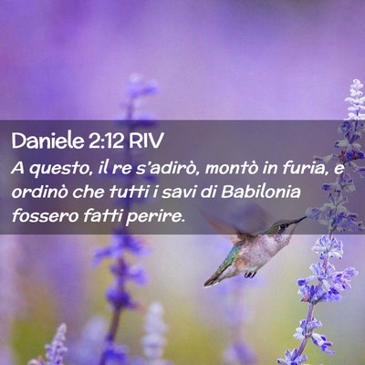 Picture 02 - Daniele 2:12 RIV - A questo, il re s’adirò, montò in furia, e - Bible Verse Picture