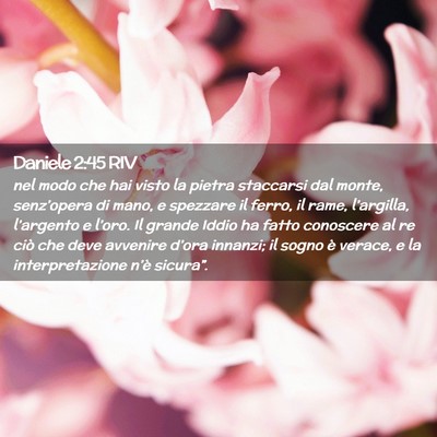 Picture 02 - Daniele 2:45 RIV - nel modo che hai visto la pietra staccarsi dal - Bible Verse Picture