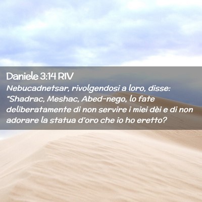 Picture 02 - Daniele 3:14 RIV - Nebucadnetsar, rivolgendosi a loro, disse: - Bible Verse Picture