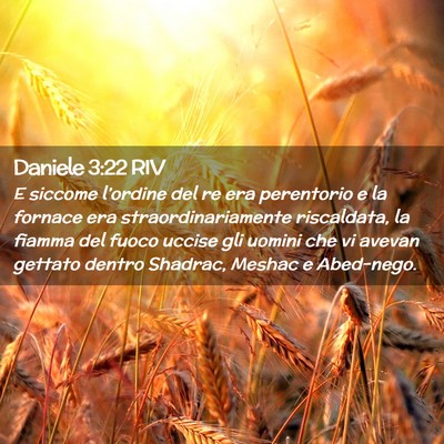 Picture 02 - Daniele 3:22 RIV - E siccome l’ordine del re era perentorio e la - Bible Verse Picture