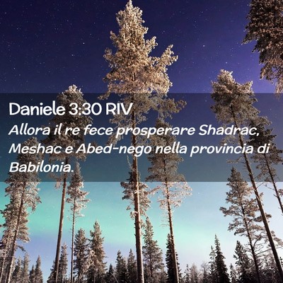 Picture 02 - Daniele 3:30 RIV - Allora il re fece prosperare Shadrac, Meshac e - Bible Verse Picture