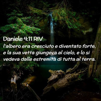 Picture 02 - Daniele 4:11 RIV - l’albero era cresciuto e diventato forte, e la - Bible Verse Picture