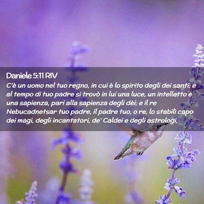 Picture 02 - Daniele 5:11 RIV - C’è un uomo nel tuo regno, in cui è lo - Bible Verse Picture