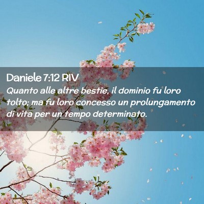Picture 02 - Daniele 7:12 RIV - Quanto alle altre bestie, il dominio fu loro - Bible Verse Picture