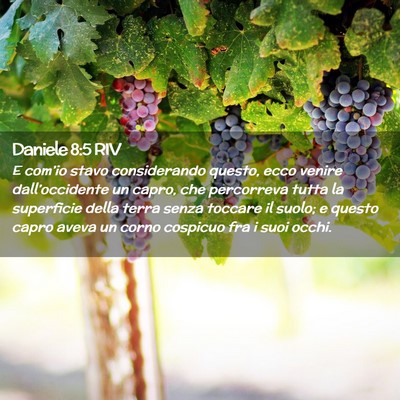 Picture 02 - Daniele 8:5 RIV - E com’io stavo considerando questo, ecco venire - Bible Verse Picture
