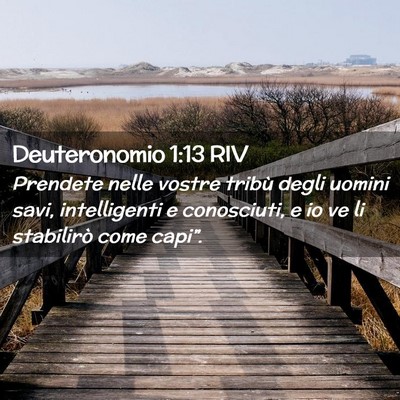 Picture 02 - Deuteronomio 1:13 RIV - Prendete nelle vostre tribù degli uomini savi, - Bible Verse Picture