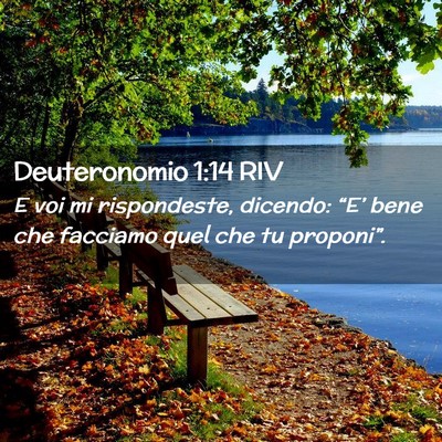 Picture 02 - Deuteronomio 1:14 RIV - E voi mi rispondeste, dicendo: “E’ bene che - Bible Verse Picture