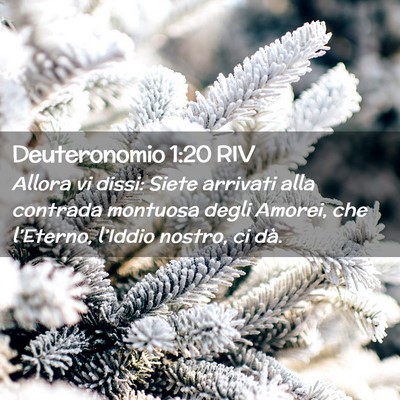 Picture 02 - Deuteronomio 1:20 RIV - Allora vi dissi: Siete arrivati alla contrada - Bible Verse Picture