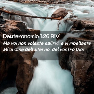 Picture 02 - Deuteronomio 1:26 RIV - Ma voi non voleste salirvi, e vi ribellaste - Bible Verse Picture