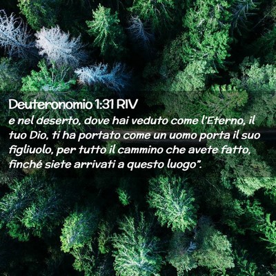 Picture 02 - Deuteronomio 1:31 RIV - e nel deserto, dove hai veduto come l’Eterno, - Bible Verse Picture