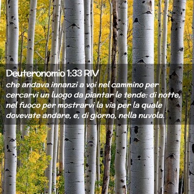 Picture 02 - Deuteronomio 1:33 RIV - che andava innanzi a voi nel cammino per cercarvi - Bible Verse Picture