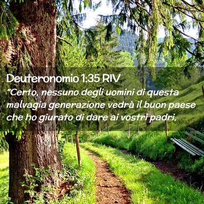 Picture 02 - Deuteronomio 1:35 RIV - “Certo, nessuno degli uomini di questa malvagia - Bible Verse Picture