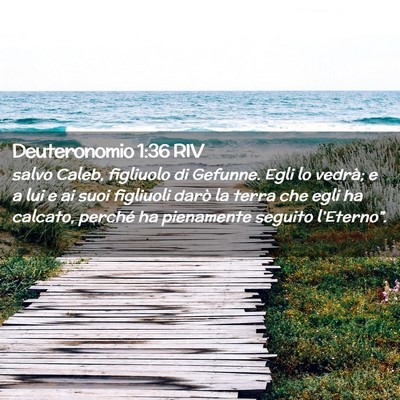 Picture 02 - Deuteronomio 1:36 RIV - salvo Caleb, figliuolo di Gefunne. Egli lo - Bible Verse Picture