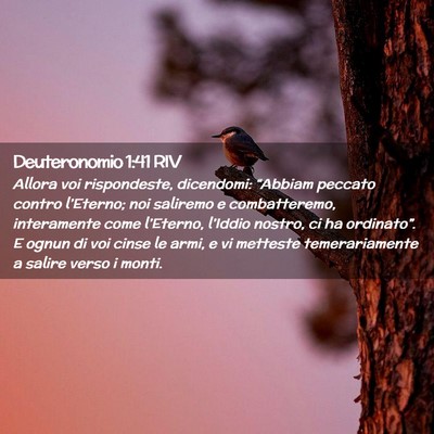Picture 02 - Deuteronomio 1:41 RIV - Allora voi rispondeste, dicendomi: “Abbiam - Bible Verse Picture