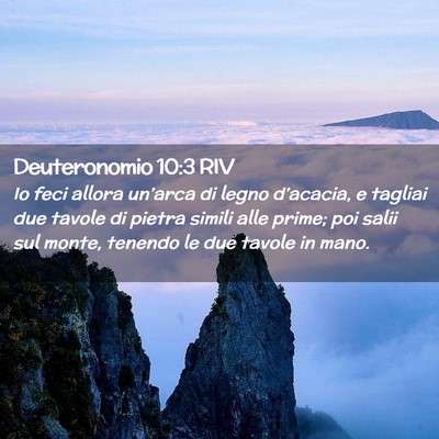 Picture 02 - Deuteronomio 10:3 RIV - Io feci allora un’arca di legno d’acacia, e - Bible Verse Picture
