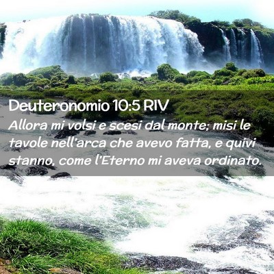 Picture 02 - Deuteronomio 10:5 RIV - Allora mi volsi e scesi dal monte; misi le tavole - Bible Verse Picture