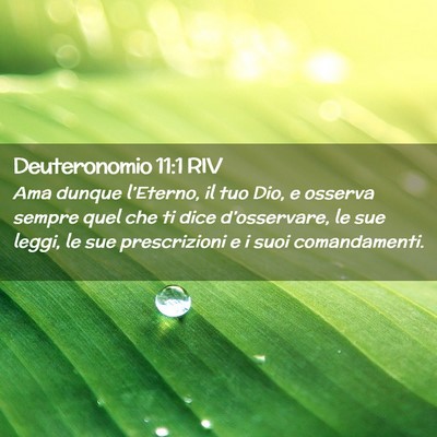 Picture 02 - Deuteronomio 11:1 RIV - Ama dunque l’Eterno, il tuo Dio, e osserva - Bible Verse Picture