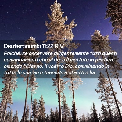 Picture 02 - Deuteronomio 11:22 RIV - Poiché, se osservate diligentemente tutti questi - Bible Verse Picture