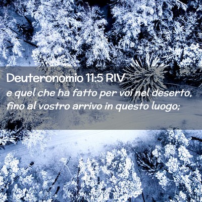 Picture 02 - Deuteronomio 11:5 RIV - e quel che ha fatto per voi nel deserto, fino al - Bible Verse Picture