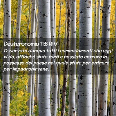 Picture 02 - Deuteronomio 11:8 RIV - Osservate dunque tutti i comandamenti che oggi vi - Bible Verse Picture