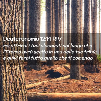Picture 02 - Deuteronomio 12:14 RIV - ma offrirai i tuoi olocausti nel luogo che - Bible Verse Picture