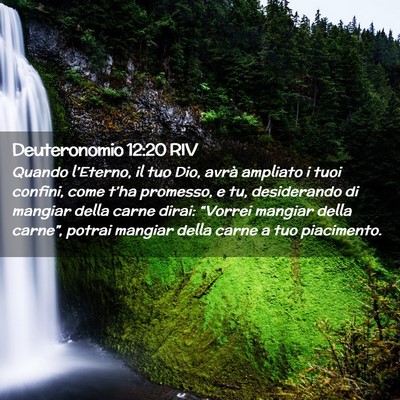 Picture 02 - Deuteronomio 12:20 RIV - Quando l’Eterno, il tuo Dio, avrà ampliato i - Bible Verse Picture