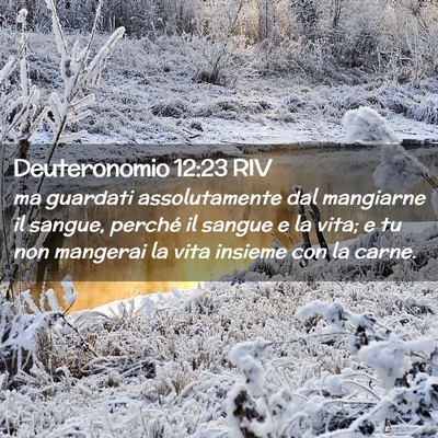 Picture 02 - Deuteronomio 12:23 RIV - ma guardati assolutamente dal mangiarne il - Bible Verse Picture