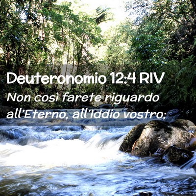 Picture 02 - Deuteronomio 12:4 RIV - Non così farete riguardo all’Eterno, - Bible Verse Picture