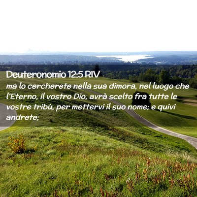 Picture 02 - Deuteronomio 12:5 RIV - ma lo cercherete nella sua dimora, nel luogo che - Bible Verse Picture