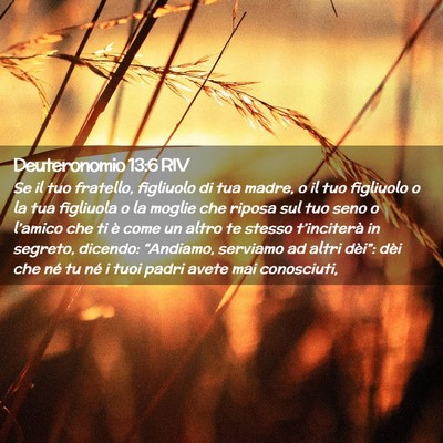 Picture 02 - Deuteronomio 13:6 RIV - Se il tuo fratello, figliuolo di tua madre, o il - Bible Verse Picture