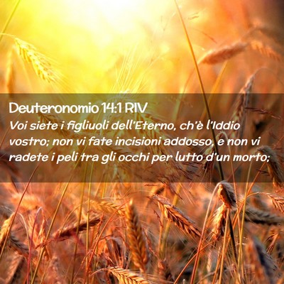 Picture 02 - Deuteronomio 14:1 RIV - Voi siete i figliuoli dell’Eterno, ch’è - Bible Verse Picture