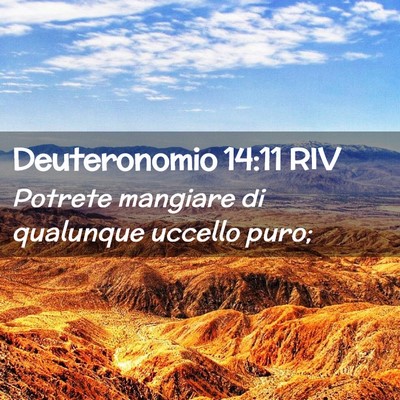 Picture 02 - Deuteronomio 14:11 RIV - Potrete mangiare di qualunque uccello - Bible Verse Picture