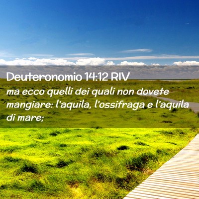 Picture 02 - Deuteronomio 14:12 RIV - ma ecco quelli dei quali non dovete mangiare: - Bible Verse Picture