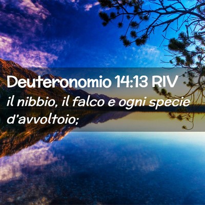 Picture 02 - Deuteronomio 14:13 RIV - il nibbio, il falco e ogni specie - Bible Verse Picture