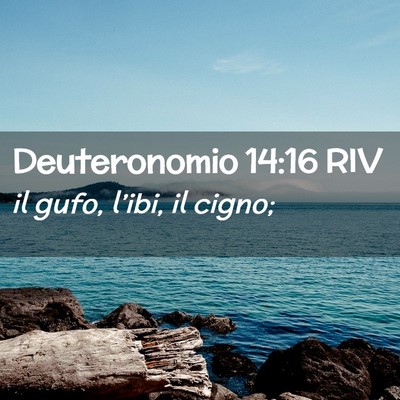 Picture 02 - Deuteronomio 14:16 RIV - il gufo, l’ibi, il - Bible Verse Picture