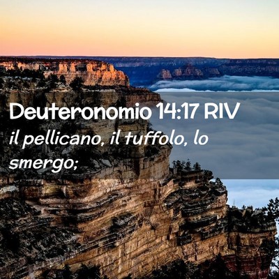 Picture 02 - Deuteronomio 14:17 RIV - il pellicano, il tuffolo, lo - Bible Verse Picture