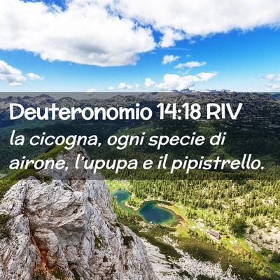 Picture 02 - Deuteronomio 14:18 RIV - la cicogna, ogni specie di airone, l’upupa e il - Bible Verse Picture