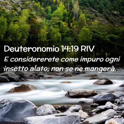 Picture 02 - Deuteronomio 14:19 RIV - E considererete come impuro ogni insetto alato; - Bible Verse Picture