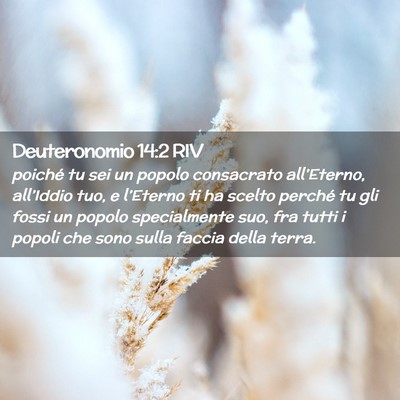 Picture 02 - Deuteronomio 14:2 RIV - poiché tu sei un popolo consacrato all’Eterno, - Bible Verse Picture